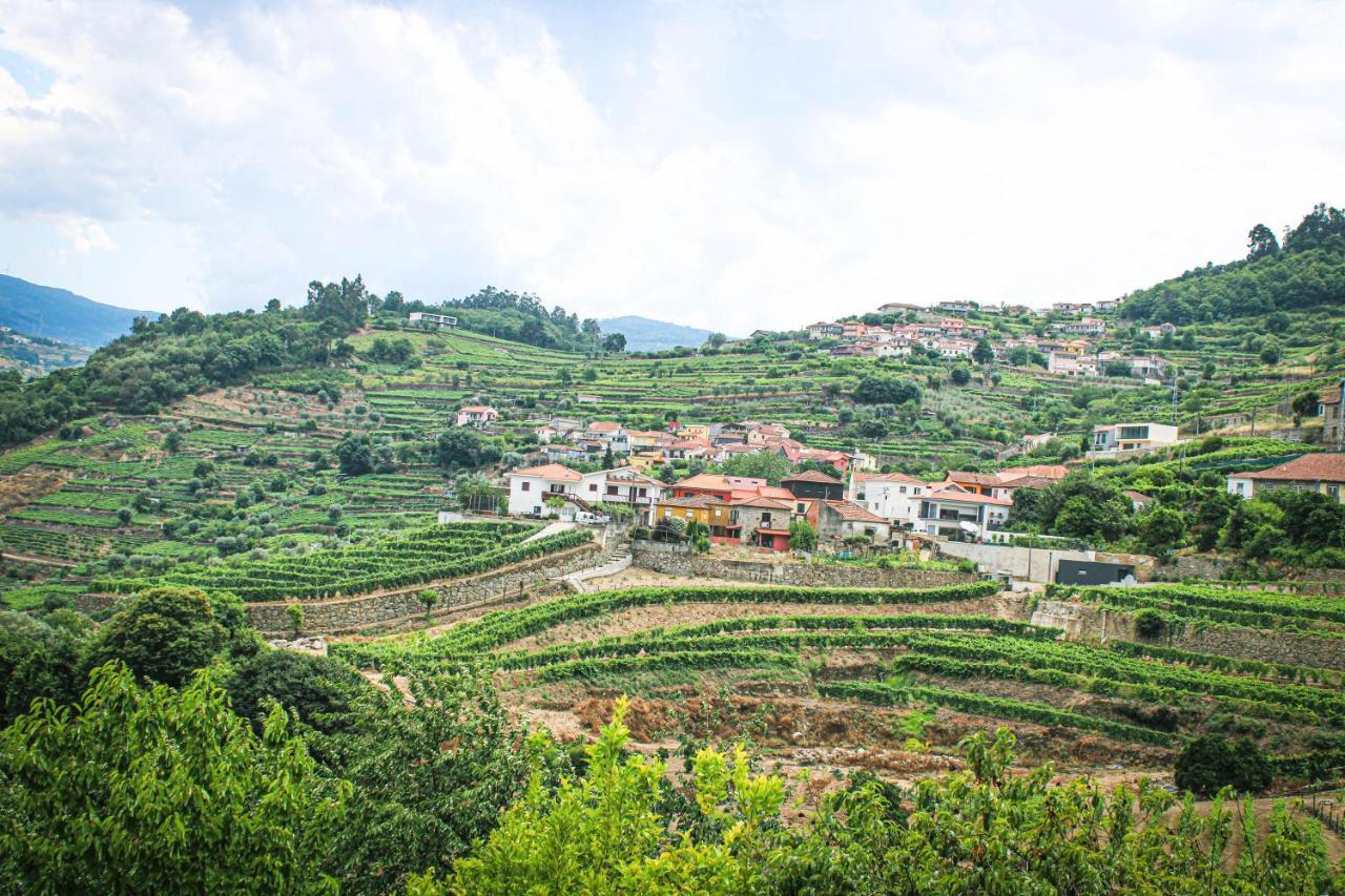 Casa Avos D'Ouro - Barqueiros, Mesao Frio, Douro Villa Exteriör bild