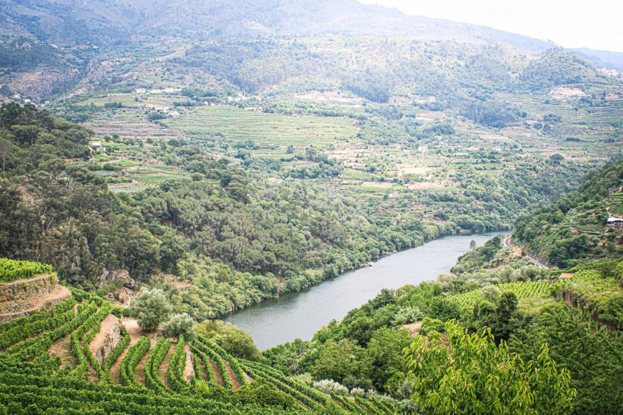 Casa Avos D'Ouro - Barqueiros, Mesao Frio, Douro Villa Exteriör bild